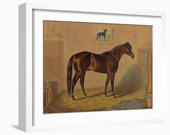 America’s Renowned Stallions, c. 1876 III-Vintage Reproduction-Framed Art Print