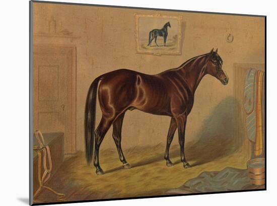 America’s Renowned Stallions, c. 1876 III-Vintage Reproduction-Mounted Art Print