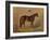 America’s Renowned Stallions, c. 1876 III-Vintage Reproduction-Framed Art Print