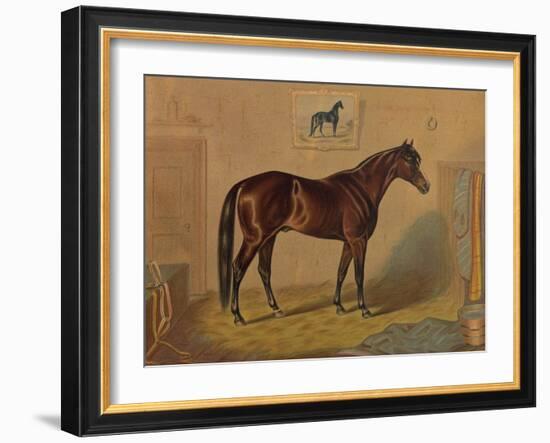 America’s Renowned Stallions, c. 1876 III-Vintage Reproduction-Framed Art Print