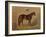 America’s Renowned Stallions, c. 1876 III-Vintage Reproduction-Framed Art Print