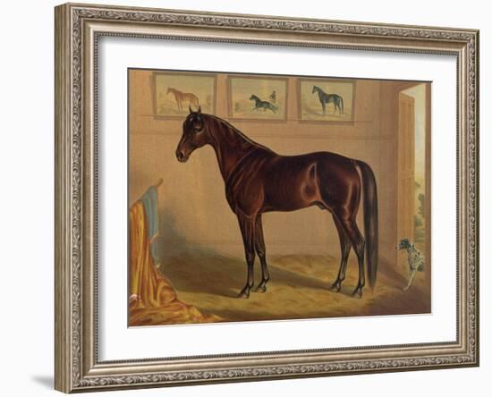 America’s Renowned Stallions, c. 1876 IV-Vintage Reproduction-Framed Art Print