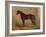 America’s Renowned Stallions, c. 1876 IV-Vintage Reproduction-Framed Art Print