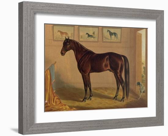 America’s Renowned Stallions, c. 1876 IV-Vintage Reproduction-Framed Art Print