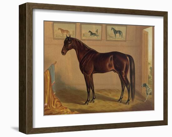 America’s Renowned Stallions, c. 1876 IV-Vintage Reproduction-Framed Art Print