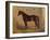 America’s Renowned Stallions, c. 1876 IV-Vintage Reproduction-Framed Art Print