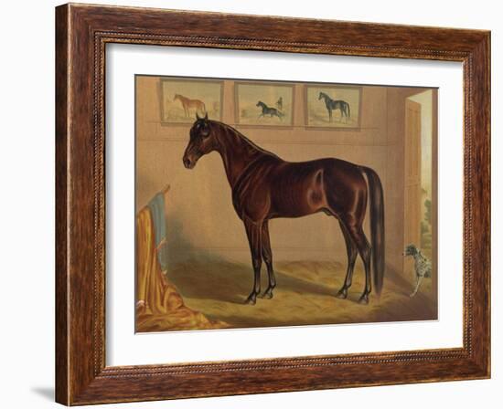 America’s Renowned Stallions, c. 1876 IV-Vintage Reproduction-Framed Art Print