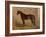 America’s Renowned Stallions, c. 1876 IV-Vintage Reproduction-Framed Art Print
