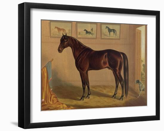 America’s Renowned Stallions, c. 1876 IV-Vintage Reproduction-Framed Art Print