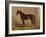 America’s Renowned Stallions, c. 1876 IV-Vintage Reproduction-Framed Art Print