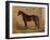 America’s Renowned Stallions, c. 1876 IV-Vintage Reproduction-Framed Art Print