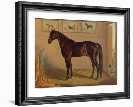 America’s Renowned Stallions, c. 1876 IV-Vintage Reproduction-Framed Art Print