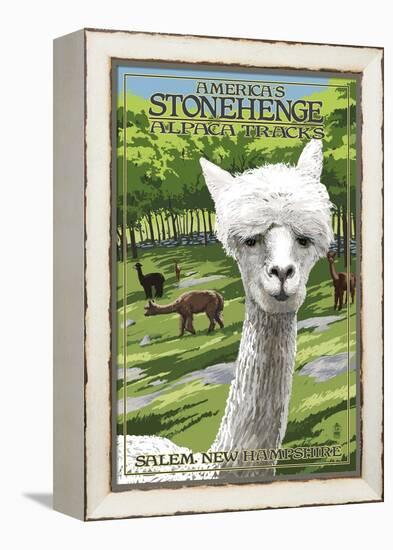America's Stonehenge, New Hampshire - Alpacas-Lantern Press-Framed Stretched Canvas