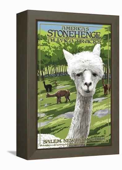 America's Stonehenge, New Hampshire - Alpacas-Lantern Press-Framed Stretched Canvas