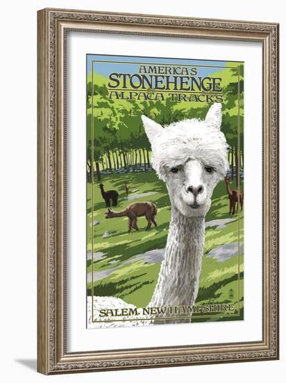 America's Stonehenge, New Hampshire - Alpacas-Lantern Press-Framed Premium Giclee Print