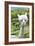 America's Stonehenge, New Hampshire - Alpacas-Lantern Press-Framed Premium Giclee Print