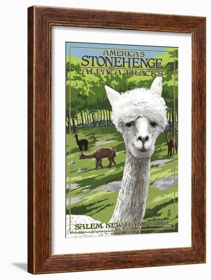 America's Stonehenge, New Hampshire - Alpacas-Lantern Press-Framed Premium Giclee Print