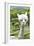 America's Stonehenge, New Hampshire - Alpacas-Lantern Press-Framed Premium Giclee Print