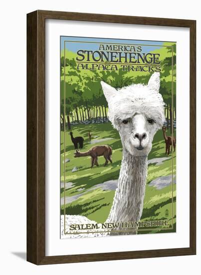 America's Stonehenge, New Hampshire - Alpacas-Lantern Press-Framed Art Print