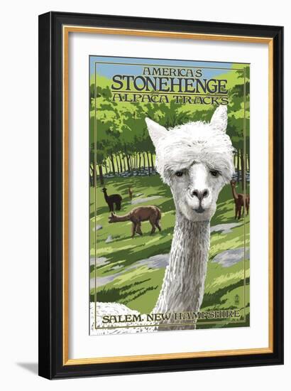 America's Stonehenge, New Hampshire - Alpacas-Lantern Press-Framed Art Print