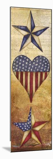 America Stars II-Elizabeth Medley-Mounted Art Print