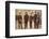 American admirals afloat with the King, 1918 (1935)-Unknown-Framed Photographic Print