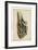 American Advocet-John James Audubon-Framed Art Print