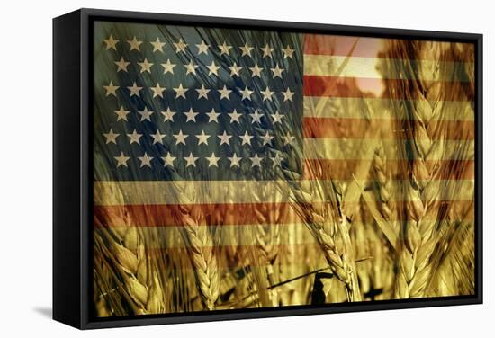 American Agriculture-digitalista-Framed Stretched Canvas