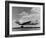 American Airline's All-Cargo Astrojet Freighter, 1949-null-Framed Photo