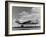 American Airline's All-Cargo Astrojet Freighter, 1949-null-Framed Photo