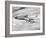 American Airline's Boeing Astrojet in Flight, 1964-null-Framed Photo