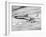 American Airline's Boeing Astrojet in Flight, 1964-null-Framed Photo