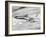 American Airline's Boeing Astrojet in Flight, 1964-null-Framed Photo
