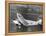 American Airlines Ford Tri-Motor Airplane, 1966-null-Framed Stretched Canvas