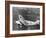 American Airlines Ford Tri-Motor Airplane, 1966-null-Framed Photo