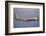 American Airlines Lockheed Electra Turbo-Prop 1966-null-Framed Photographic Print