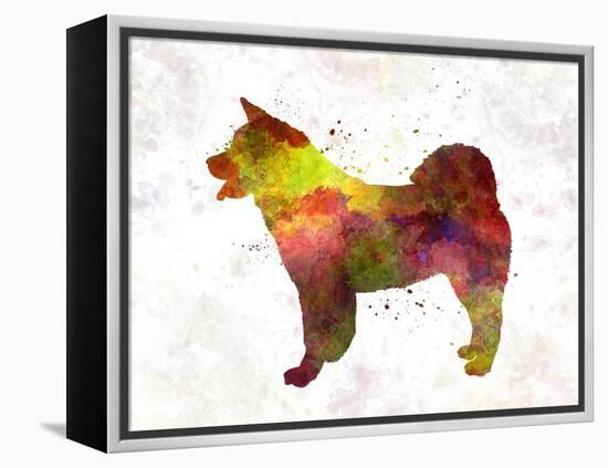 American Akita in Watercolor-paulrommer-Framed Stretched Canvas