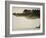 American Alligator, Everglades National Park, Florida, USA-Joe McDonald-Framed Photographic Print