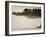 American Alligator, Everglades National Park, Florida, USA-Joe McDonald-Framed Photographic Print