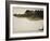 American Alligator, Everglades National Park, Florida, USA-Joe McDonald-Framed Photographic Print