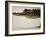 American Alligator, Everglades National Park, Florida, USA-Joe McDonald-Framed Photographic Print