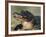 American Alligator Portrait, Florida, USA-Lynn M. Stone-Framed Photographic Print