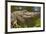 American alligator sunning with butterfly on head, Alligator mississippiensis, Gatorland, Orlando, -Adam Jones-Framed Photographic Print