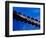 American Alligator Tail Details, Everglades National Park, Florida, USA-Adam Jones-Framed Photographic Print