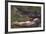 American Alligator with Jaws Open-DLILLC-Framed Photographic Print