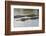 American alligators, Myakka River State Park, Florida-Adam Jones-Framed Photographic Print