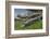 American Alligators Sunning, Anhinga Trail, Everglades National Park, Florida-Maresa Pryor-Framed Photographic Print