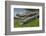 American Alligators Sunning, Anhinga Trail, Everglades National Park, Florida-Maresa Pryor-Framed Photographic Print