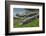 American Alligators Sunning, Anhinga Trail, Everglades National Park, Florida-Maresa Pryor-Framed Photographic Print