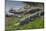 American Alligators Sunning, Anhinga Trail, Everglades National Park, Florida-Maresa Pryor-Mounted Photographic Print